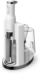 Lauben Stick Blender 800WT