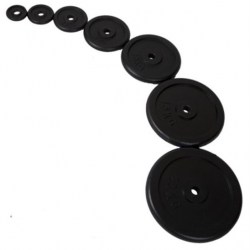 Sedco 4101 Kotouč činky 20kg - 29mm